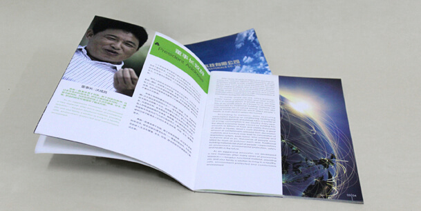 封面燙金燙銀樣本 藝術(shù)紙樣本印刷 內(nèi)頁藝術(shù)紙(圖2) 封面燙金燙銀樣本 藝術(shù)紙樣本印刷 內(nèi)頁藝術(shù)紙(圖2)